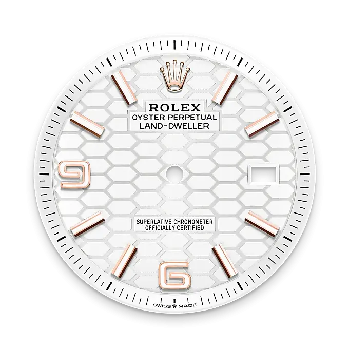 Rolex Land-Dweller 40腕錶18K永恒玫瑰金款，M127335-0001- 寶島鐘錶