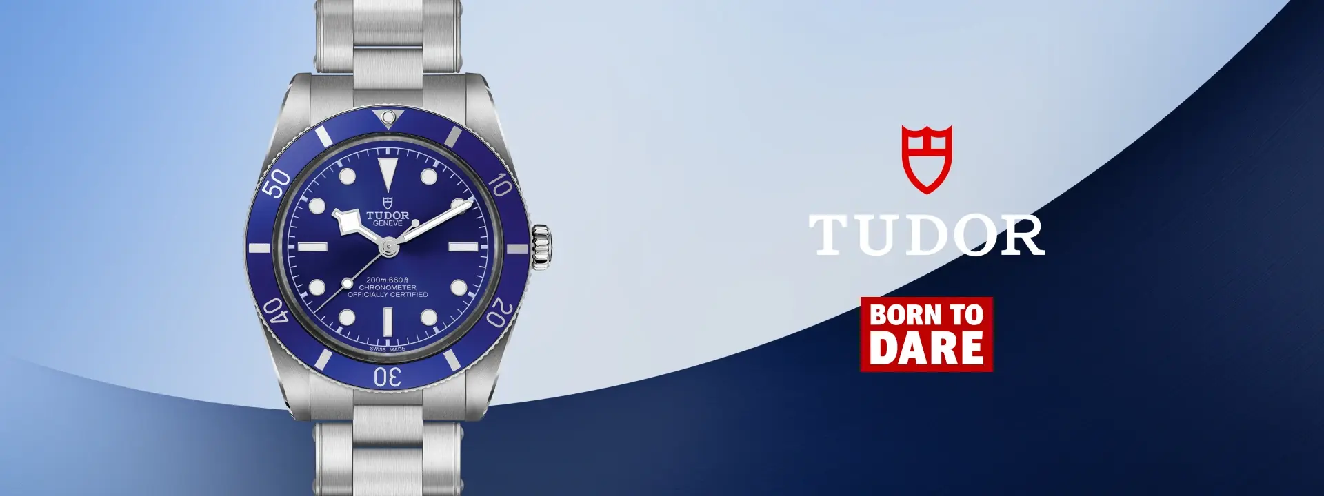 tudor2
